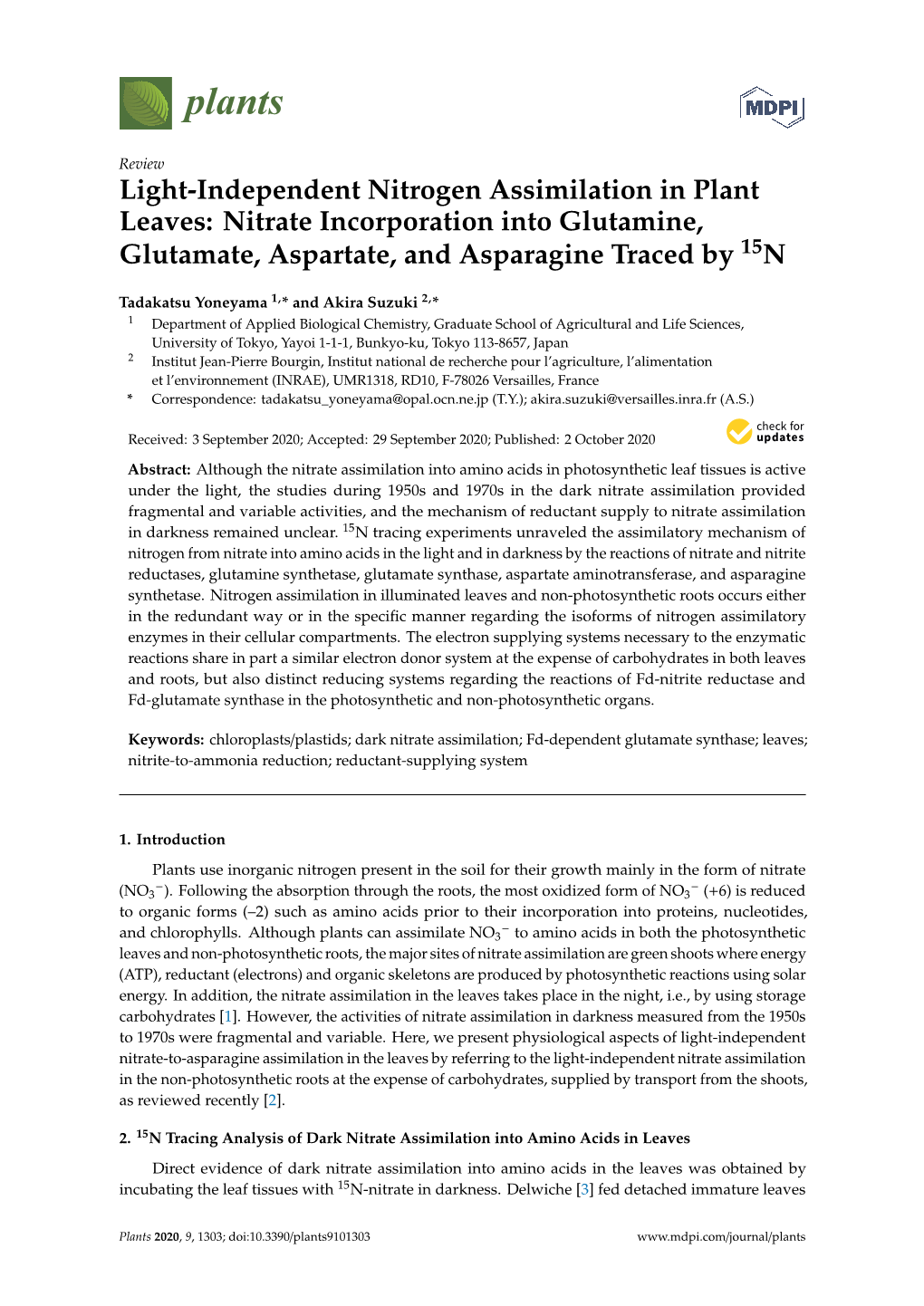 Light-Independent Nitrogen Assimilation in Plant Leaves: Nitrate Incorporation Into Glutamine, Glutamate, Aspartate, and Asparagine Traced by 15N