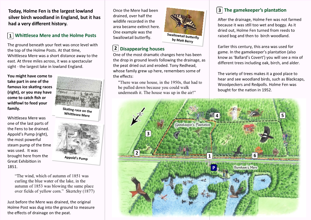 Holme Fen Nature Reserve the Lost Lake and Other