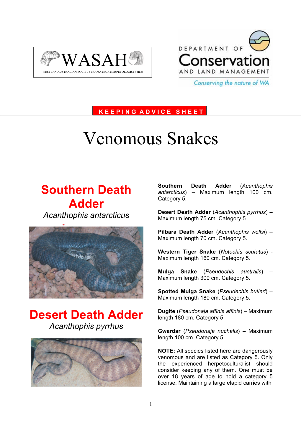 Venemous Snakes