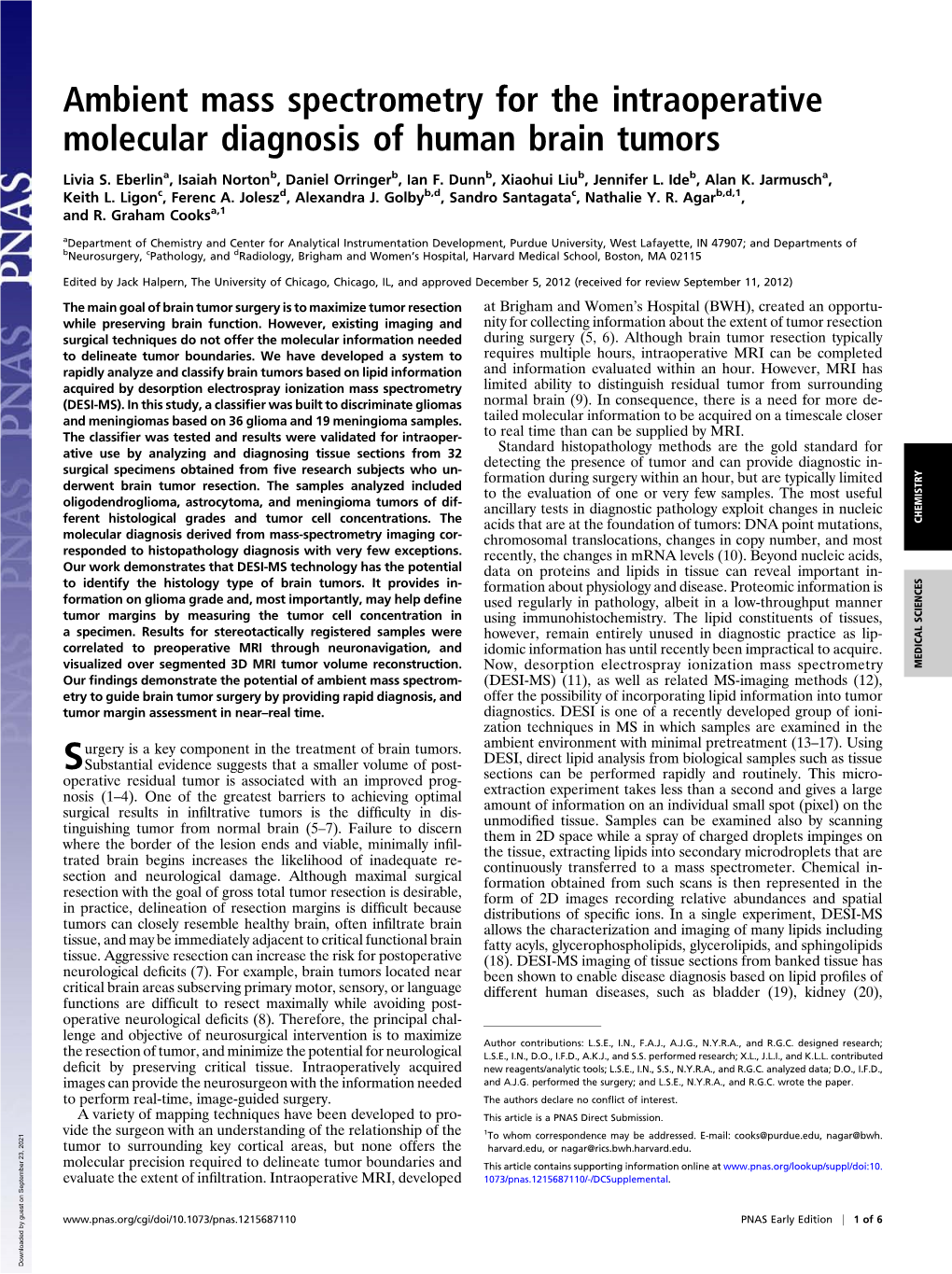 Ambient Mass Spectrometry for the Intraoperative Molecular Diagnosis of Human Brain Tumors