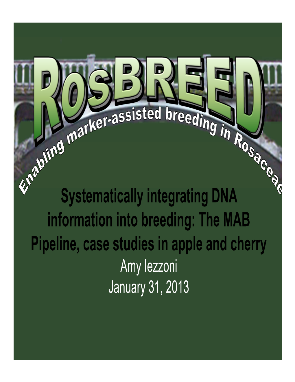 Systematically Integrating DNA Information Into Breeding: the MAB