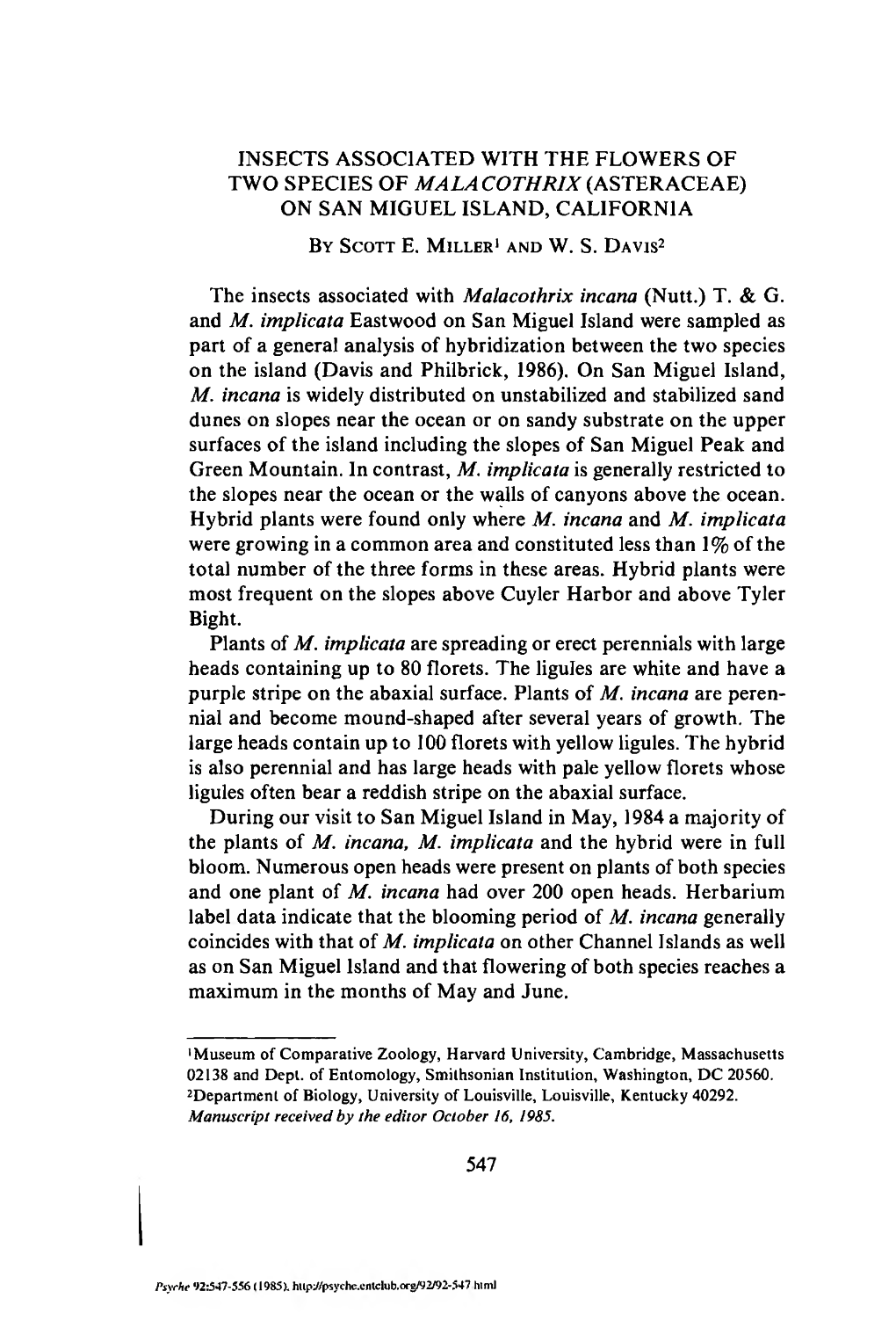 Insects Associated with the Flowers of Two Species of Malacothrix{A^Tekaceke) on San Miguel Island, California