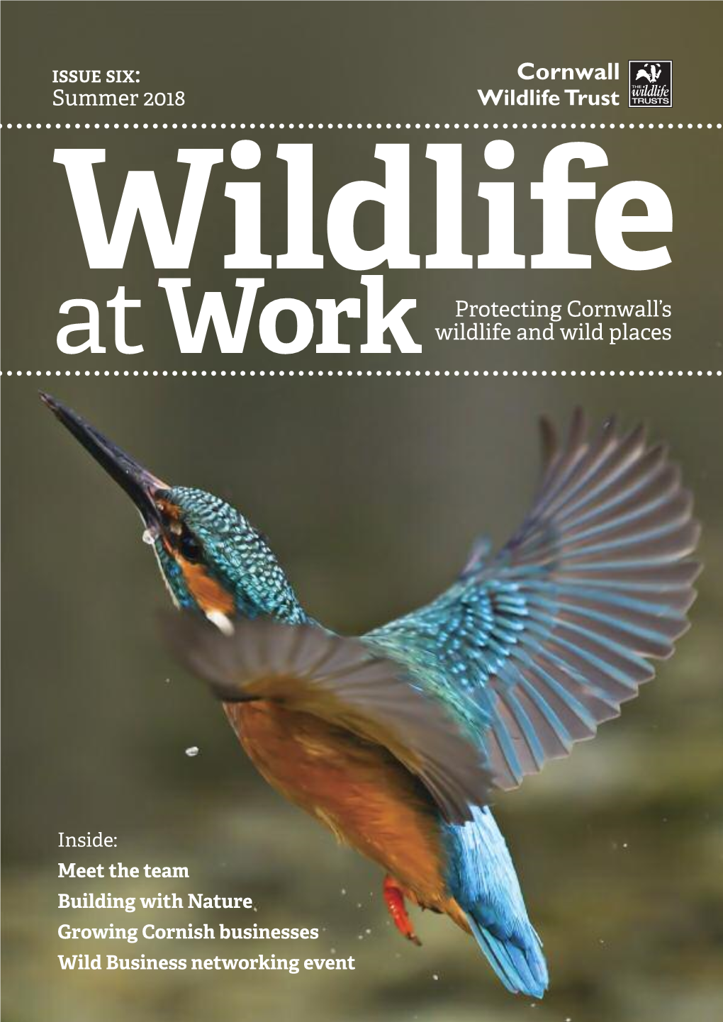 Summer 2018 Wildli Fe Protecting Cornwall’S at Work Wildlife and Wild Places