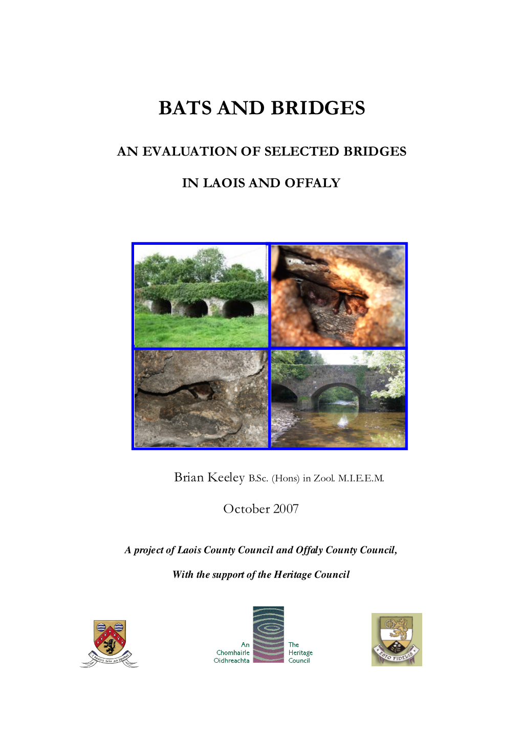Survey of Bats in Bridges, Laois and Offaly 2007