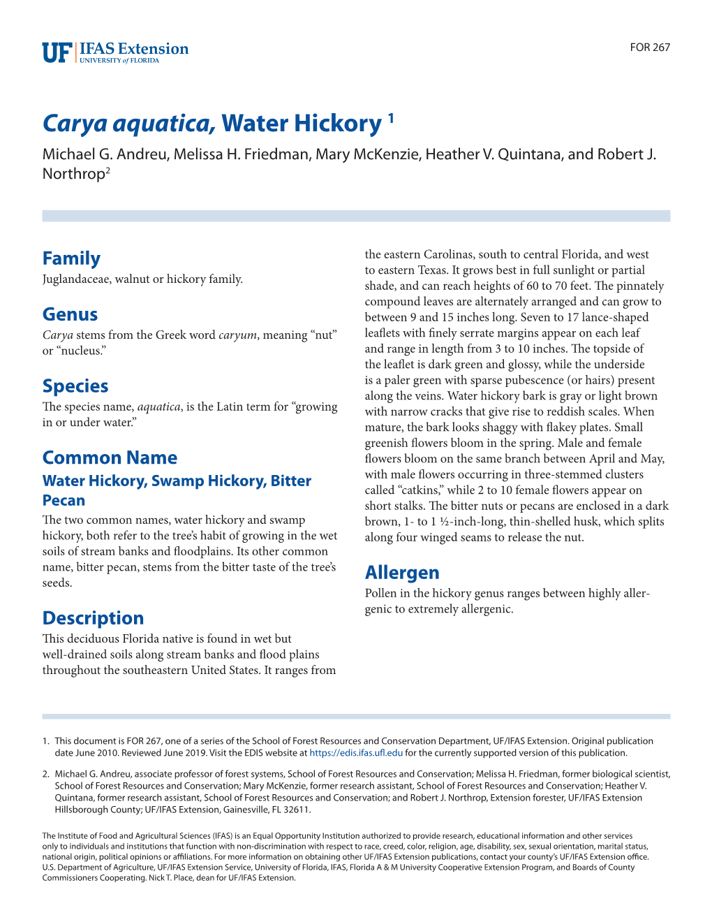 Carya Aquatica, Water Hickory 1 Michael G