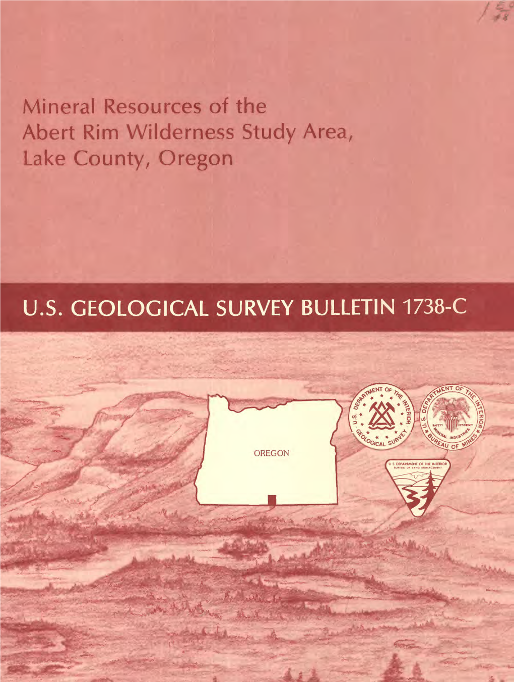 Mineral Resources of the Abert Rim Wilderness Study Area, Lake County, Oregon