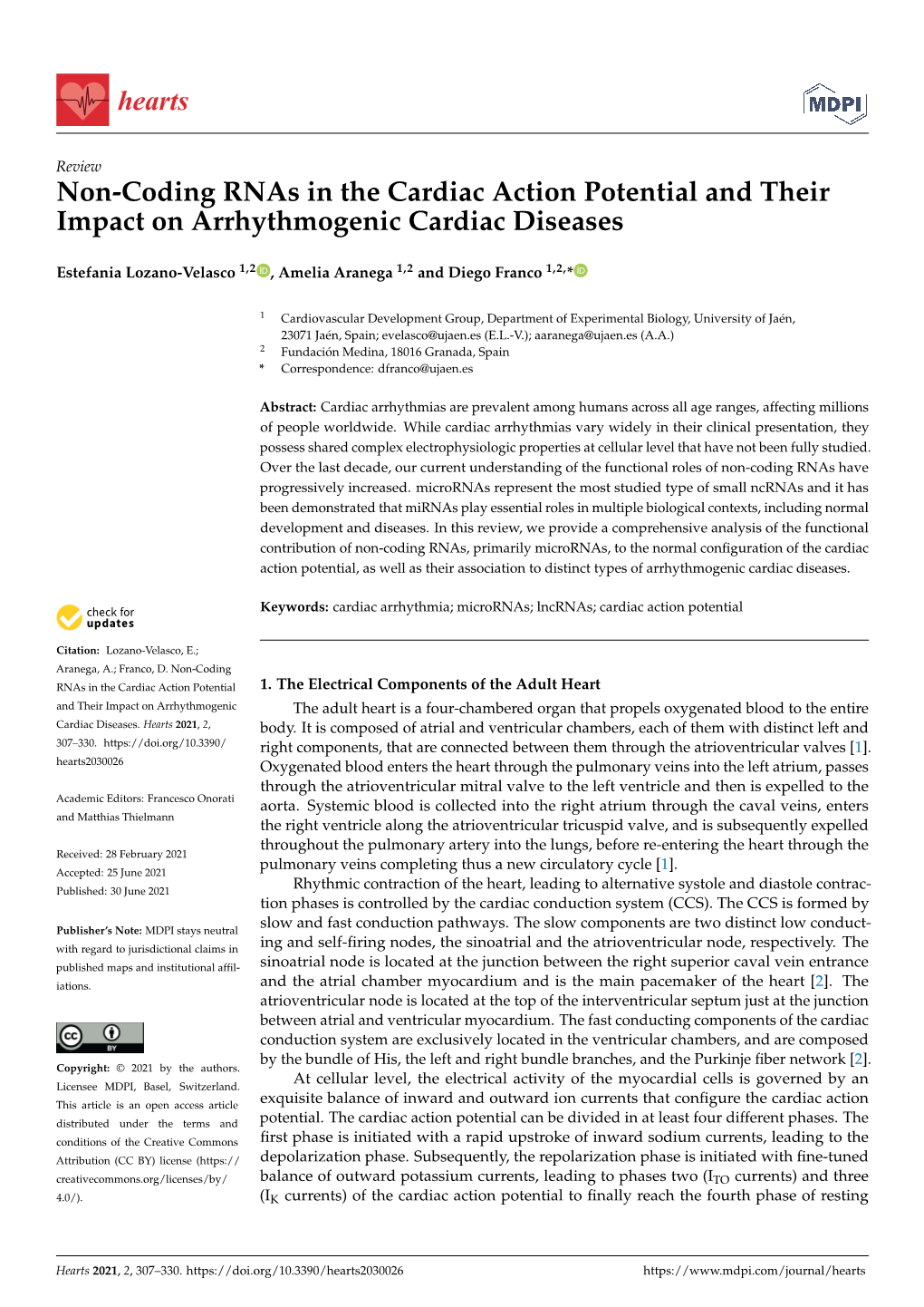 Non-Coding Rnas in the Cardiac Action Potential and Their Impact on Arrhythmogenic Cardiac Diseases