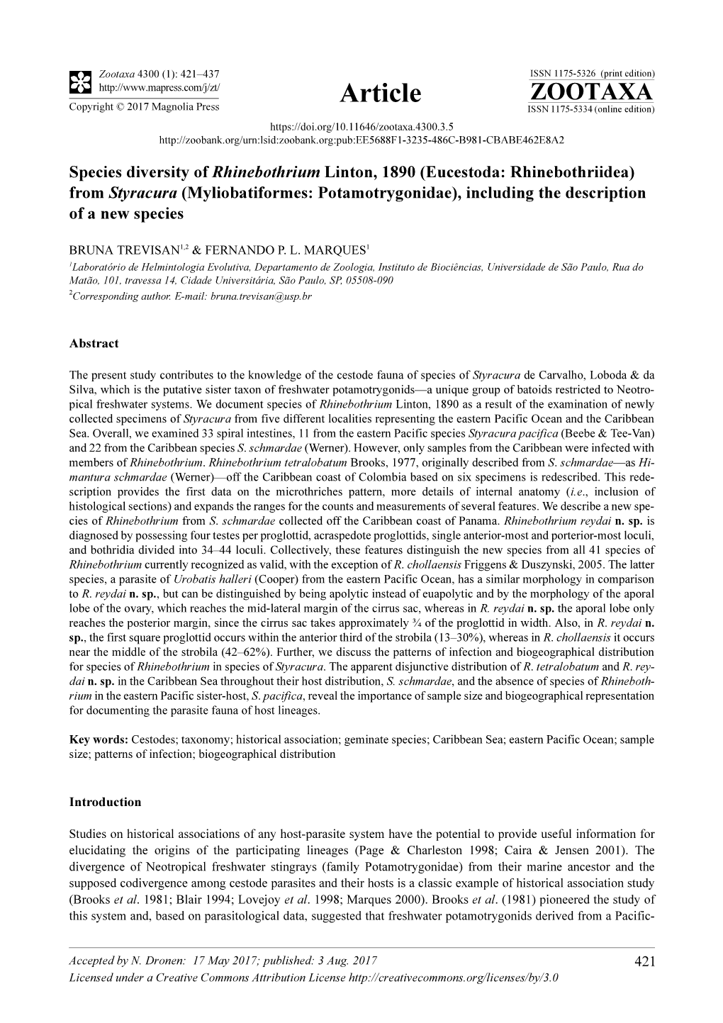 Species Diversity of Rhinebothrium Linton, 1890 (Eucestoda