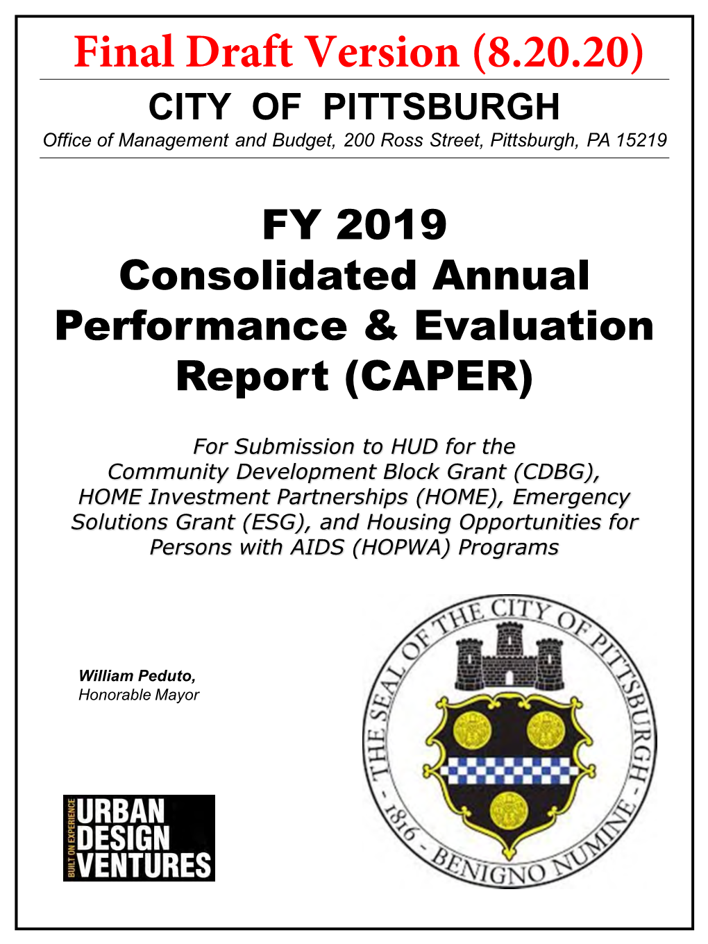 FY 2019 CAPER City of Pittsburgh, PA