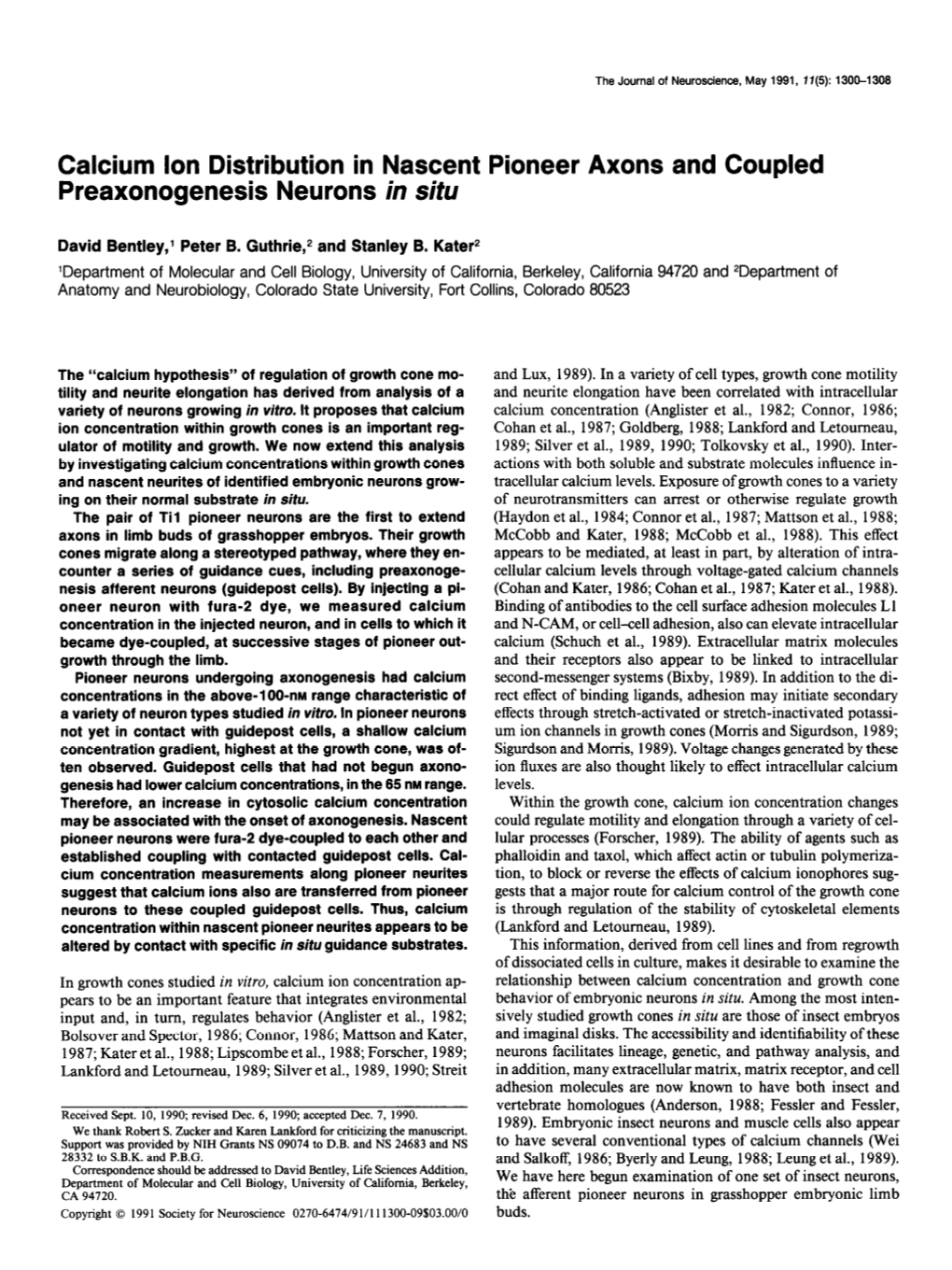 Calcium Ion Distribution in Nascent Pioneer Axons and Coupled Preaxonogenesis Neurons in Situ