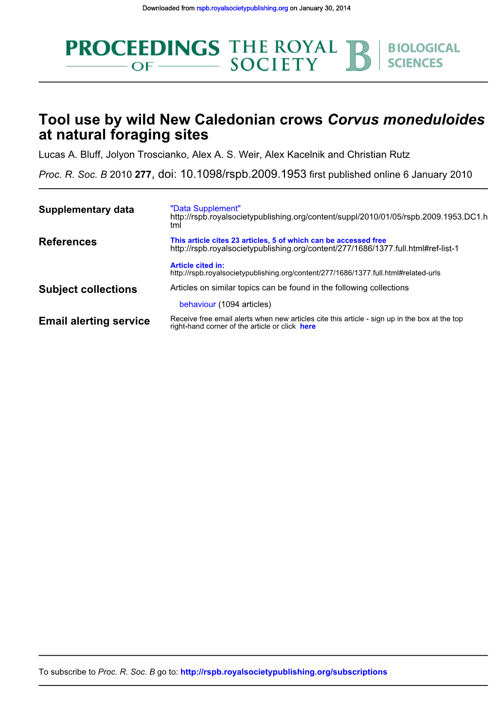 At Natural Foraging Sites Corvus Moneduloides Tool Use by Wild New Caledonian Crows