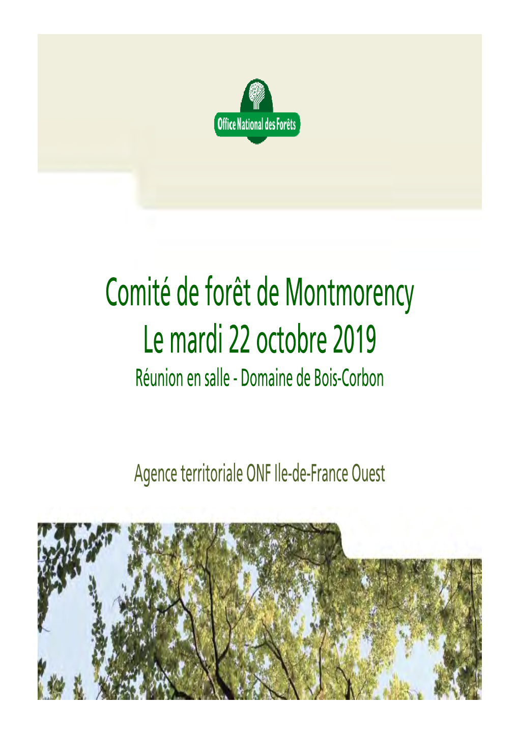 Comité De Forêt De Montmorency Le Mardi 22 Octobre 2019 Réunion En Salle - Domaine De Bois-Corbon