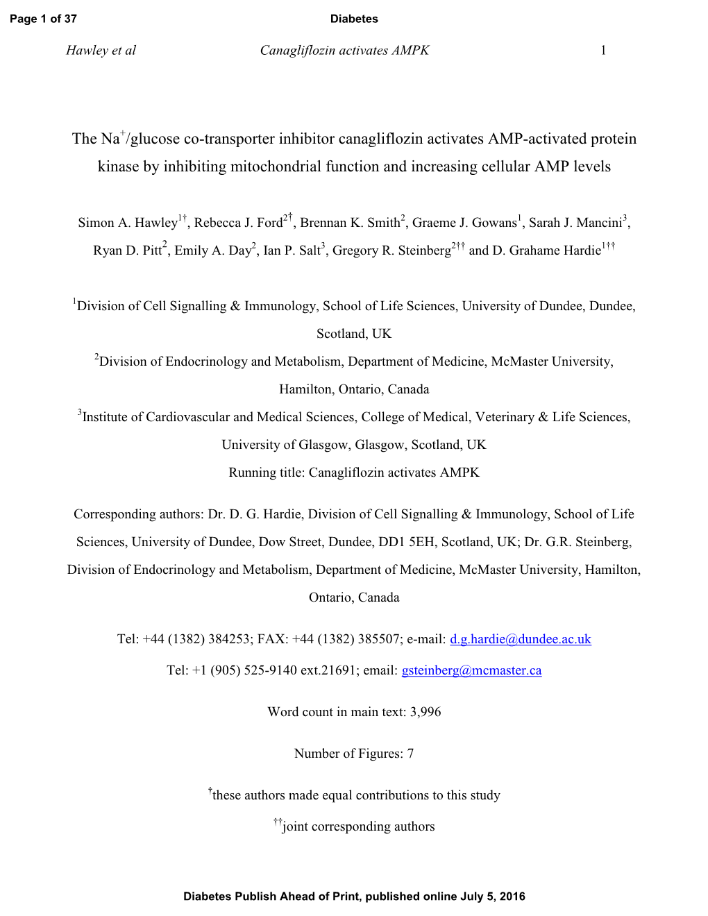 The Na+/Glucose Co-Transporter Inhibitor Canagliflozin Activates AMP-Activated Protein Kinase by Inhibiting Mitochondrial Function and Increasing Cellular AMP Levels