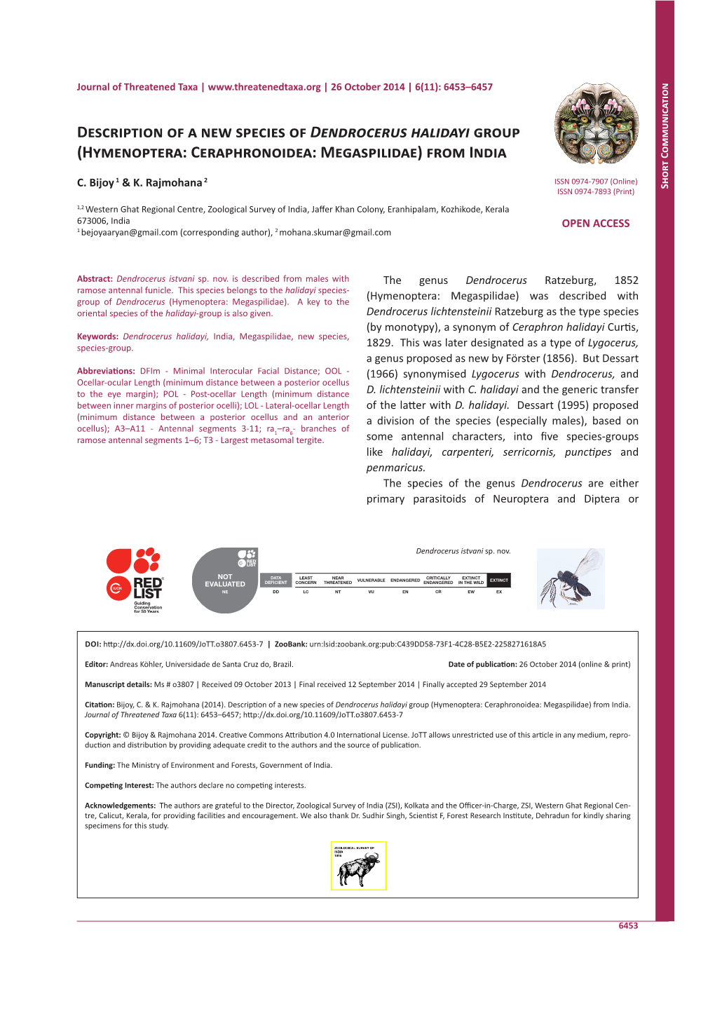 Description of a New Species of Dendrocerus Halidayi Group (Hymenoptera: Ceraphronoidea: Megaspilidae) from India