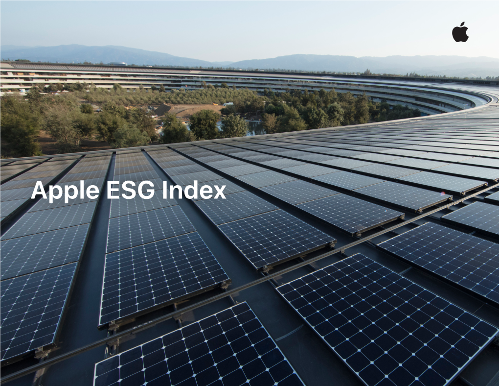 Apple ESG Index 2020