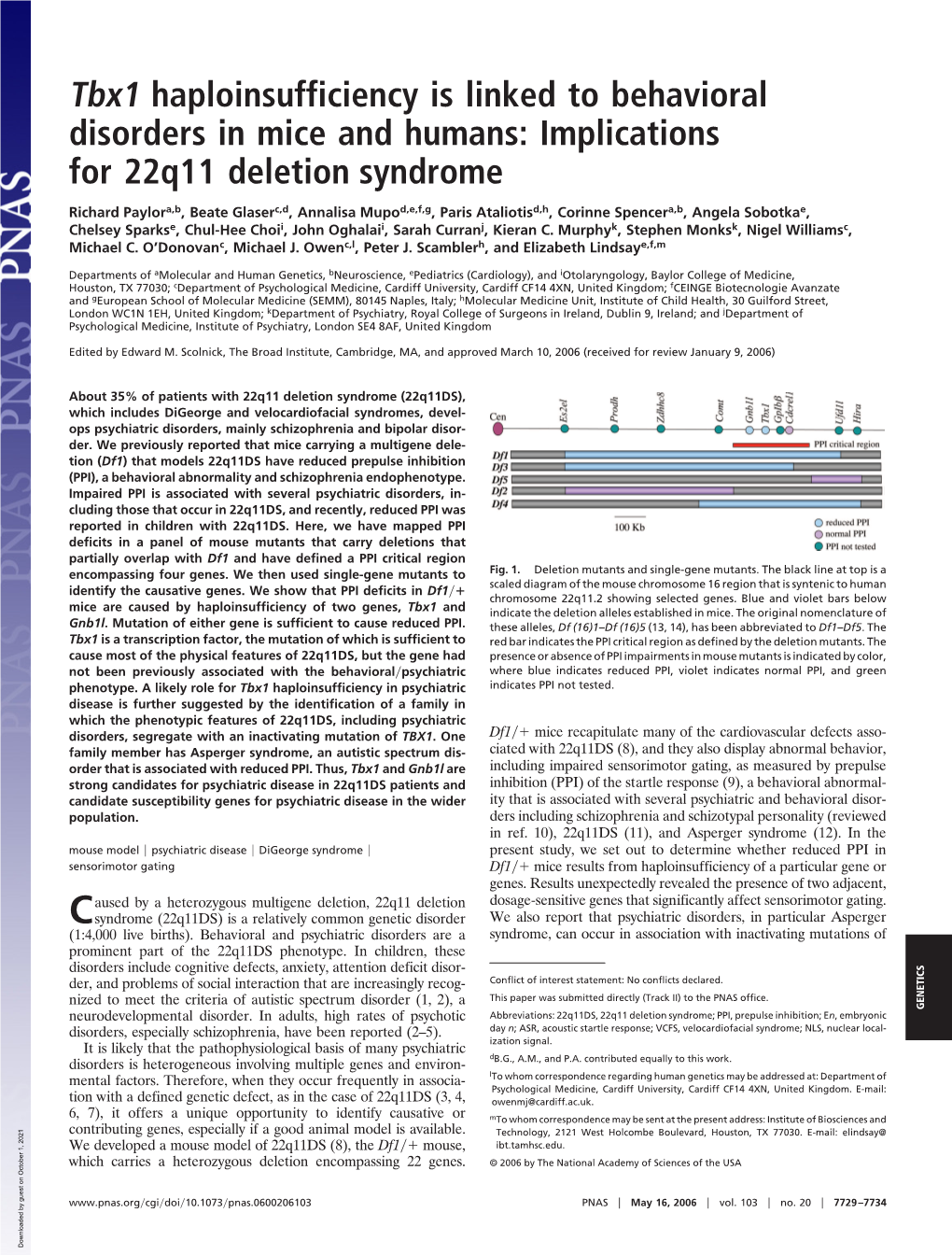 Implications for 22Q11 Deletion Syndrome