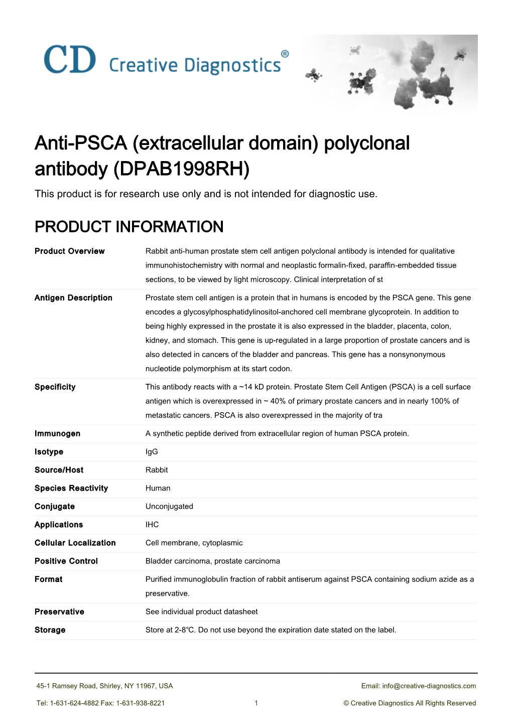 Anti-PSCA (Extracellular Domain) Polyclonal Antibody (DPAB1998RH) This Product Is for Research Use Only and Is Not Intended for Diagnostic Use