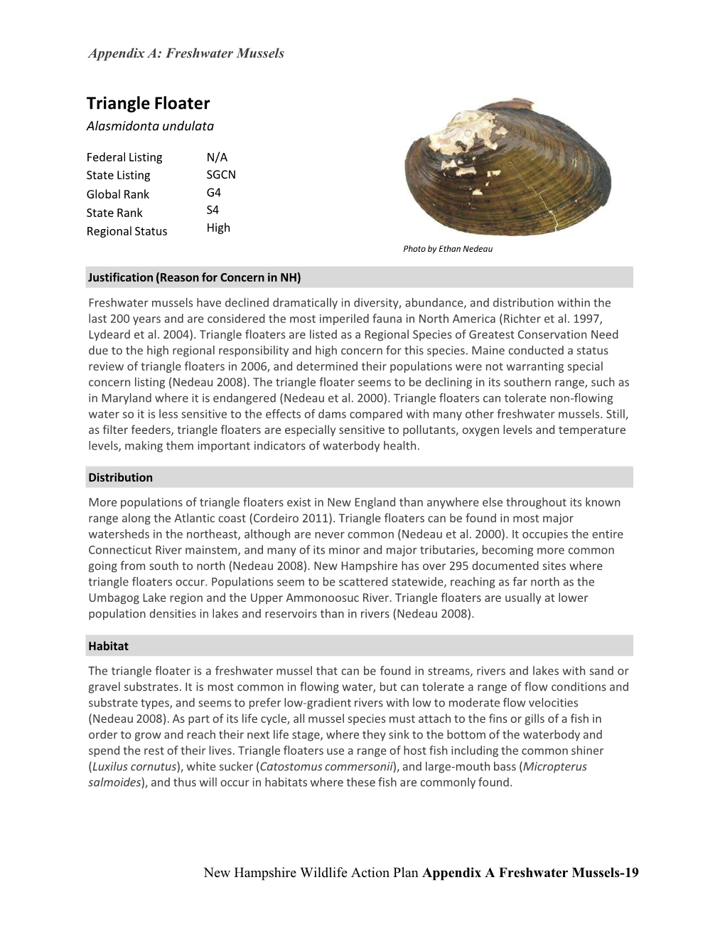 Appendix A: Freshwater Mussels