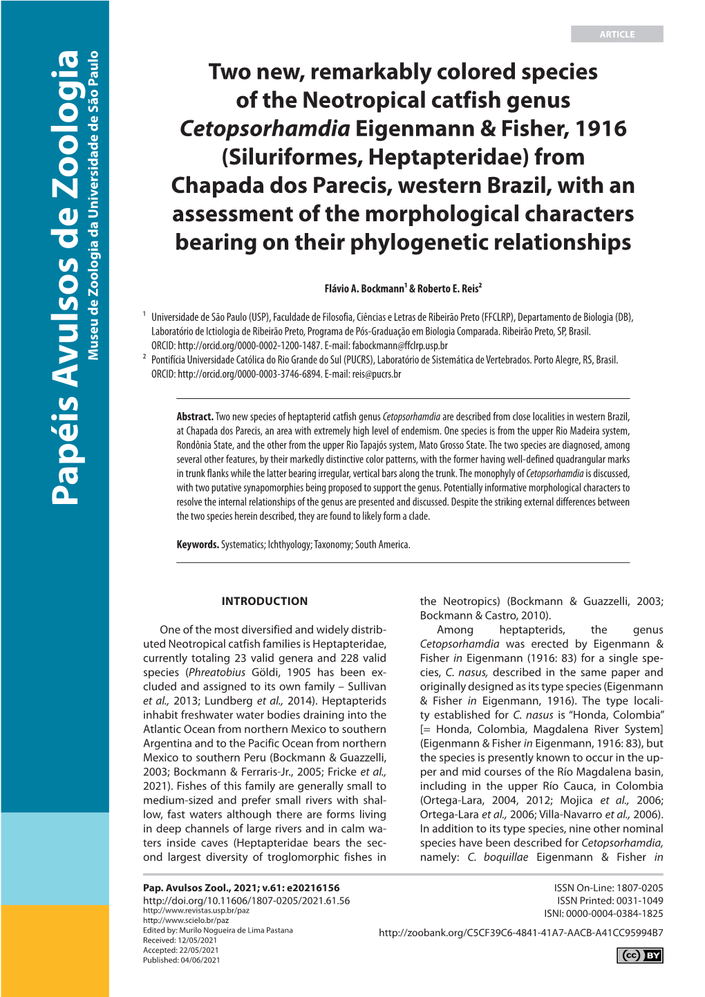 Siluriformes, Heptapteridae) from Chapada Dos Parecis, Western Brazil, with an Assessment of the Morphological Characters Bearing on Their Phylogenetic Relationships