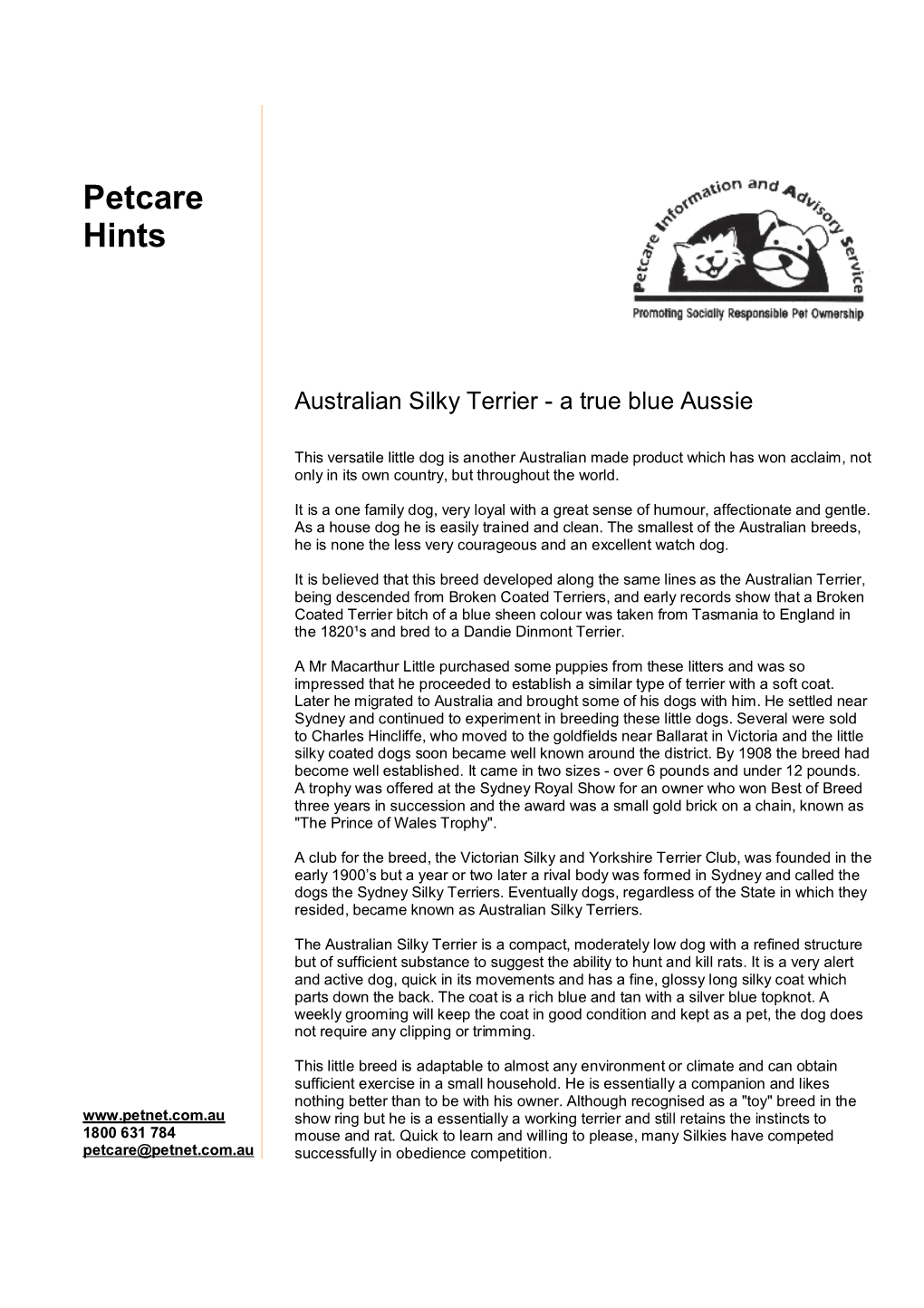 Australian Silky Terrier - a True Blue Aussie