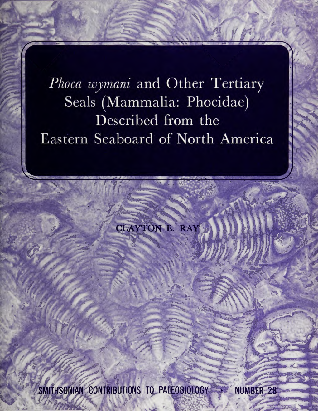 Phoca Wymani and Other Tertiary Seals (Mammalia: Phocidae) Described from the Eastern Seaboard of North America