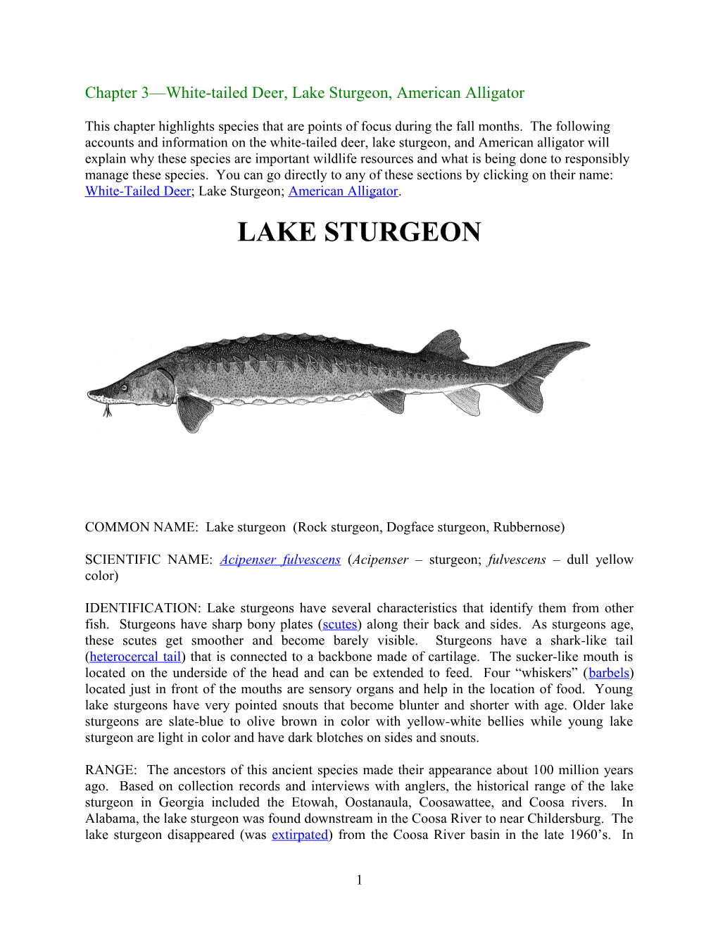 Lake Sturgeon Reintroduction Into The Upper Coosa River System