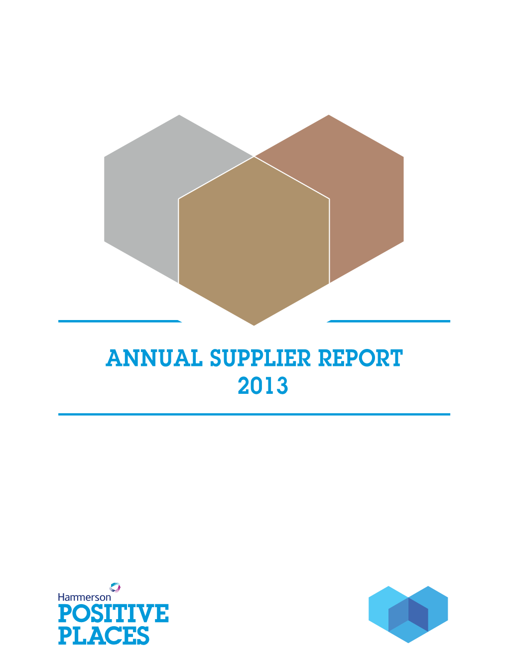 Hammerson Annual Supplier Report 2013