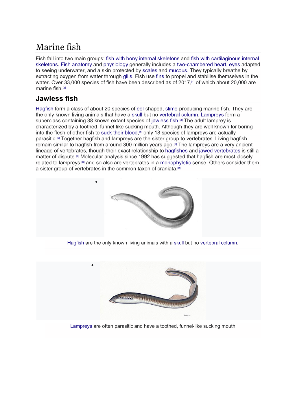 Marine Fish Fish Fall Into Two Main Groups: Fish with Bony Internal Skeletons and Fish with Cartilaginous Internal Skeletons