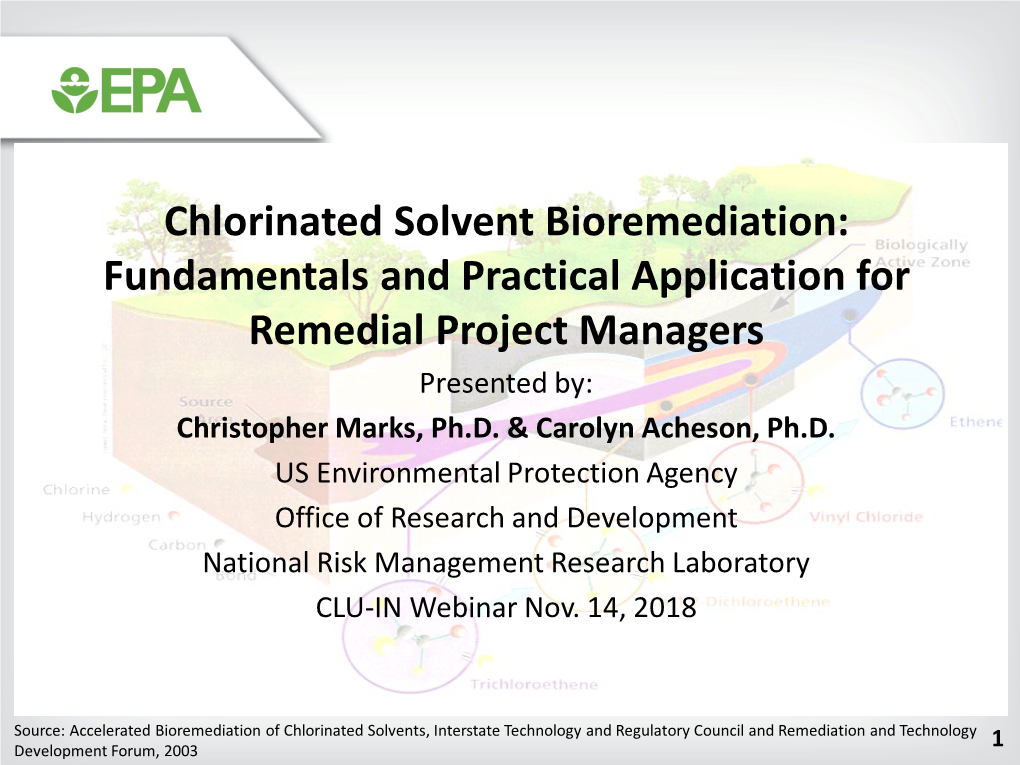 Chlorinated Solvent Bioremediation: Fundamentals and Practical Application for Remedial Project Managers Presented By: Christopher Marks, Ph.D