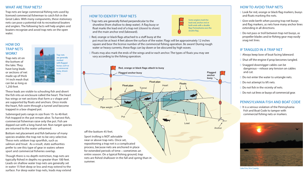 What Are Trap Nets?