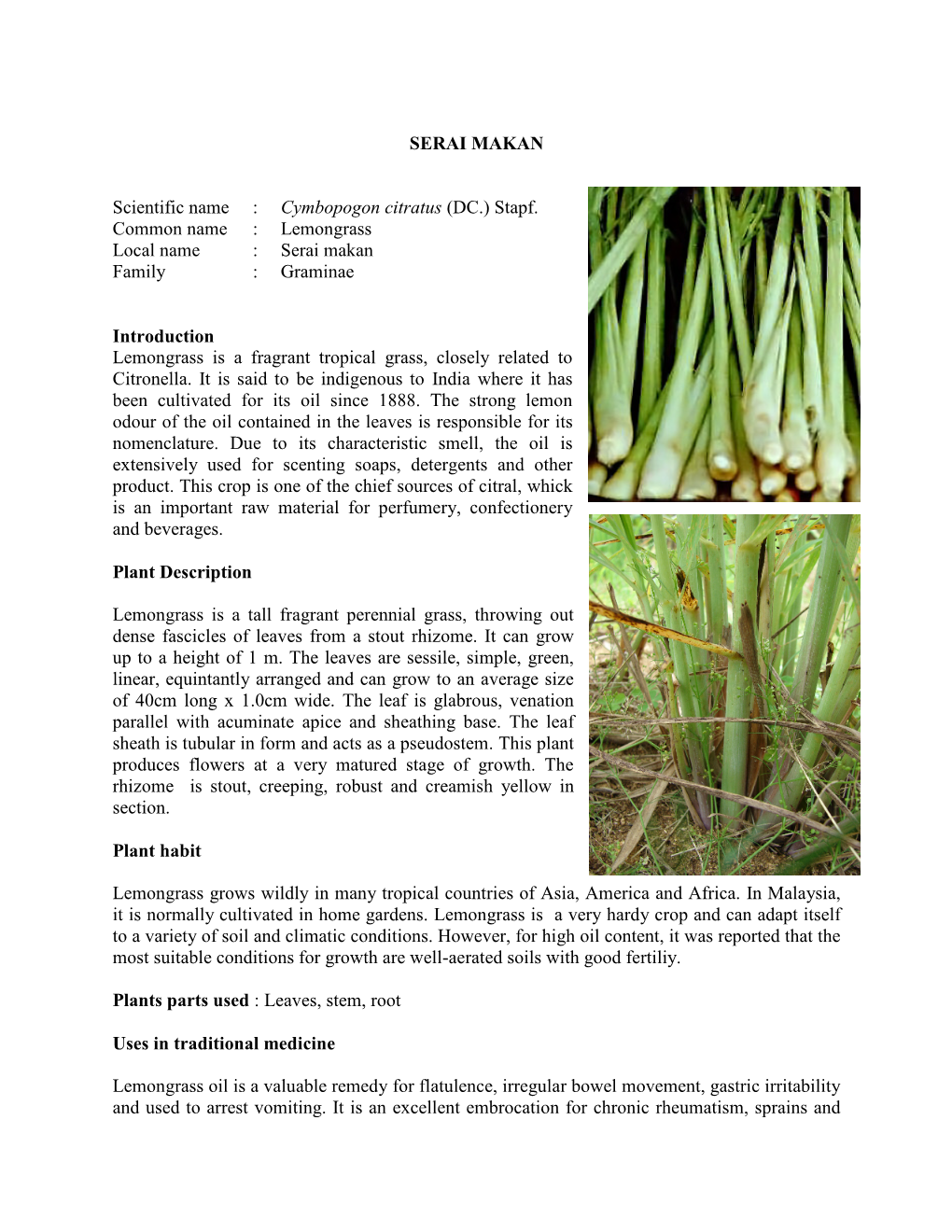 SERAI MAKAN Scientific Name : Cymbopogon Citratus (DC.) Stapf