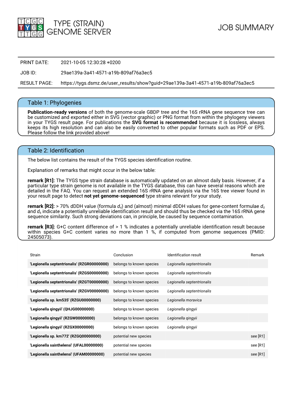 Download PDF Report