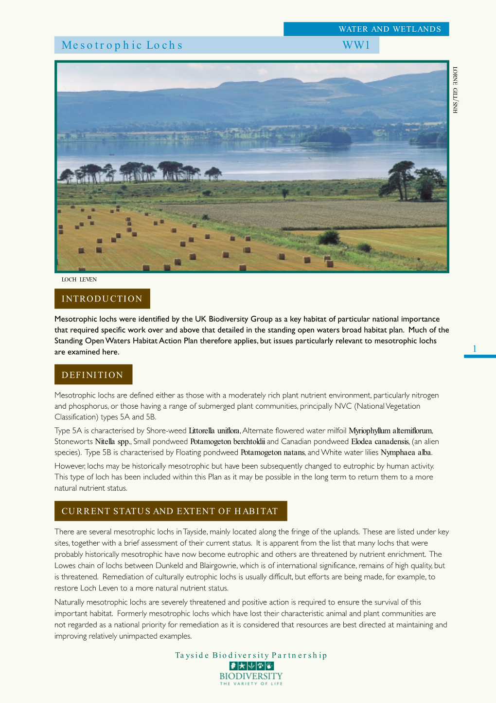 Mesotrophic Lochs WW1