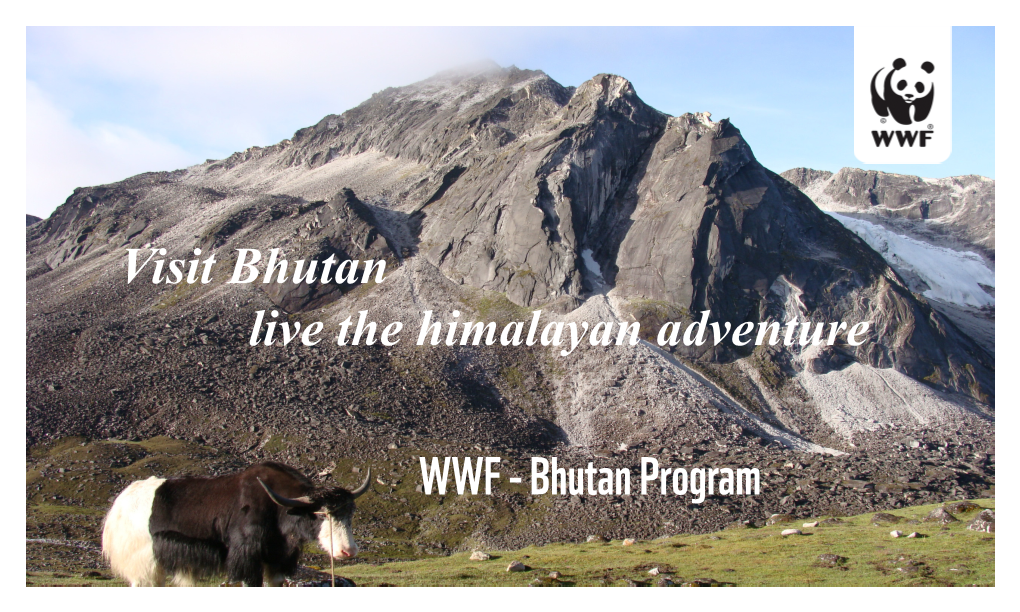 Visit Bhutan Live the Himalayan Adventure