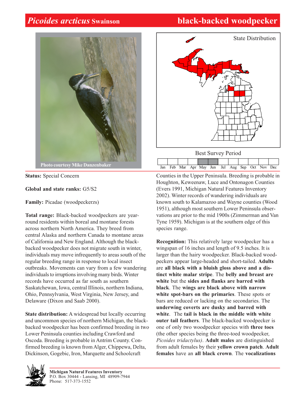 Picoides Arcticus Swainson Black-Backedblack-Backed Woodpecker Woodpecker, Page 1