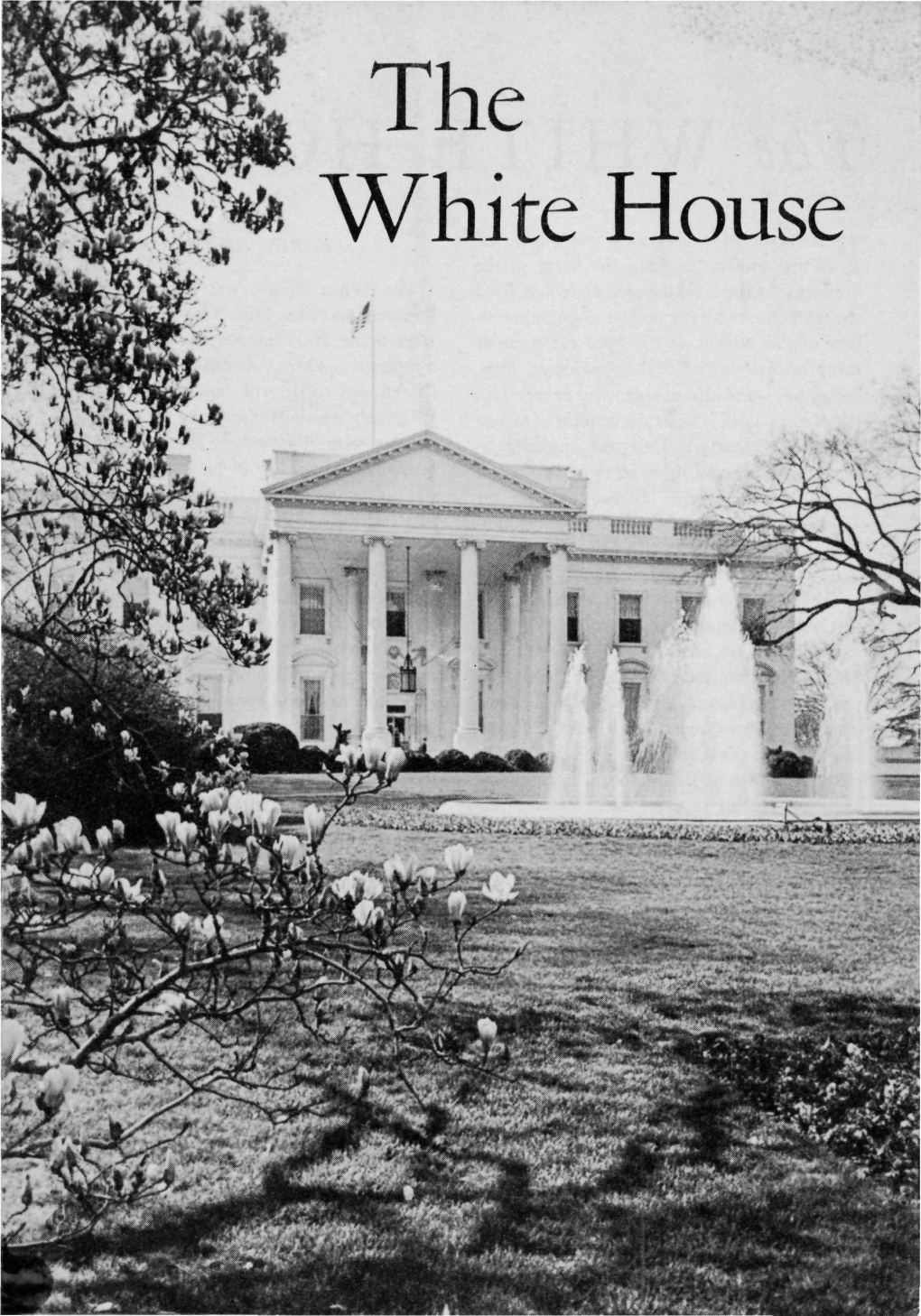 The White House