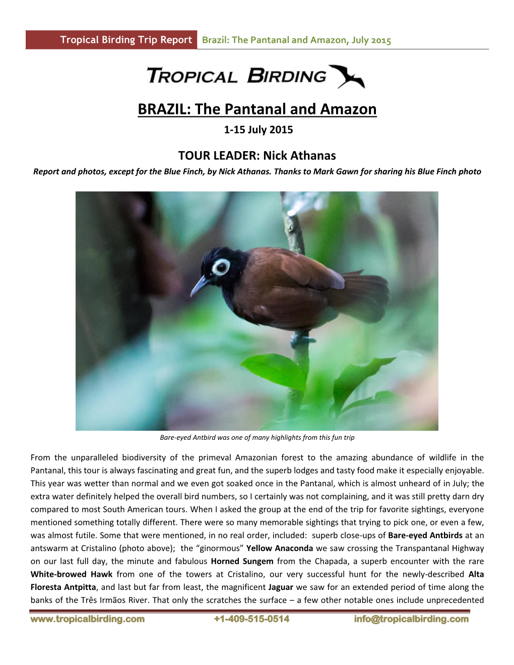 Brazil: the Pantanal and Amazon, July 2015