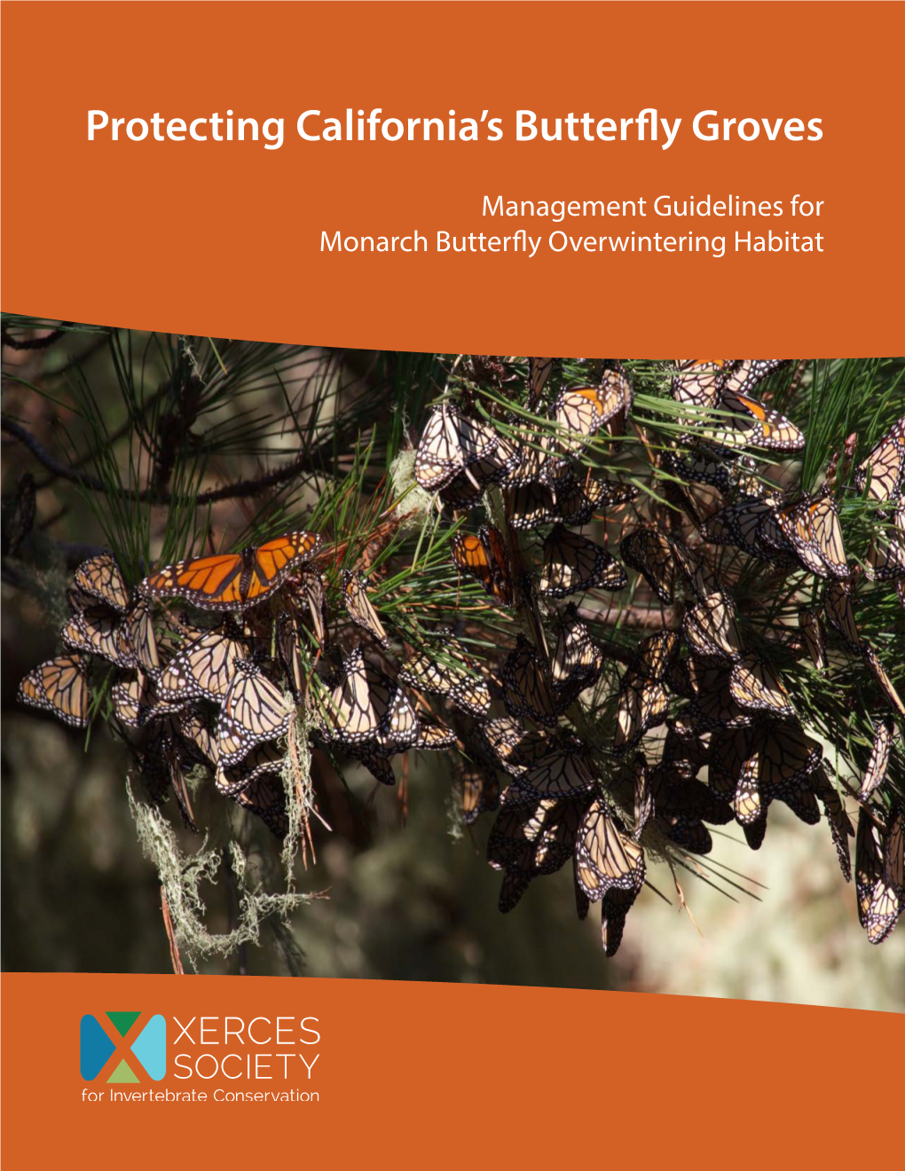 Protecting California's Butterfly Groves