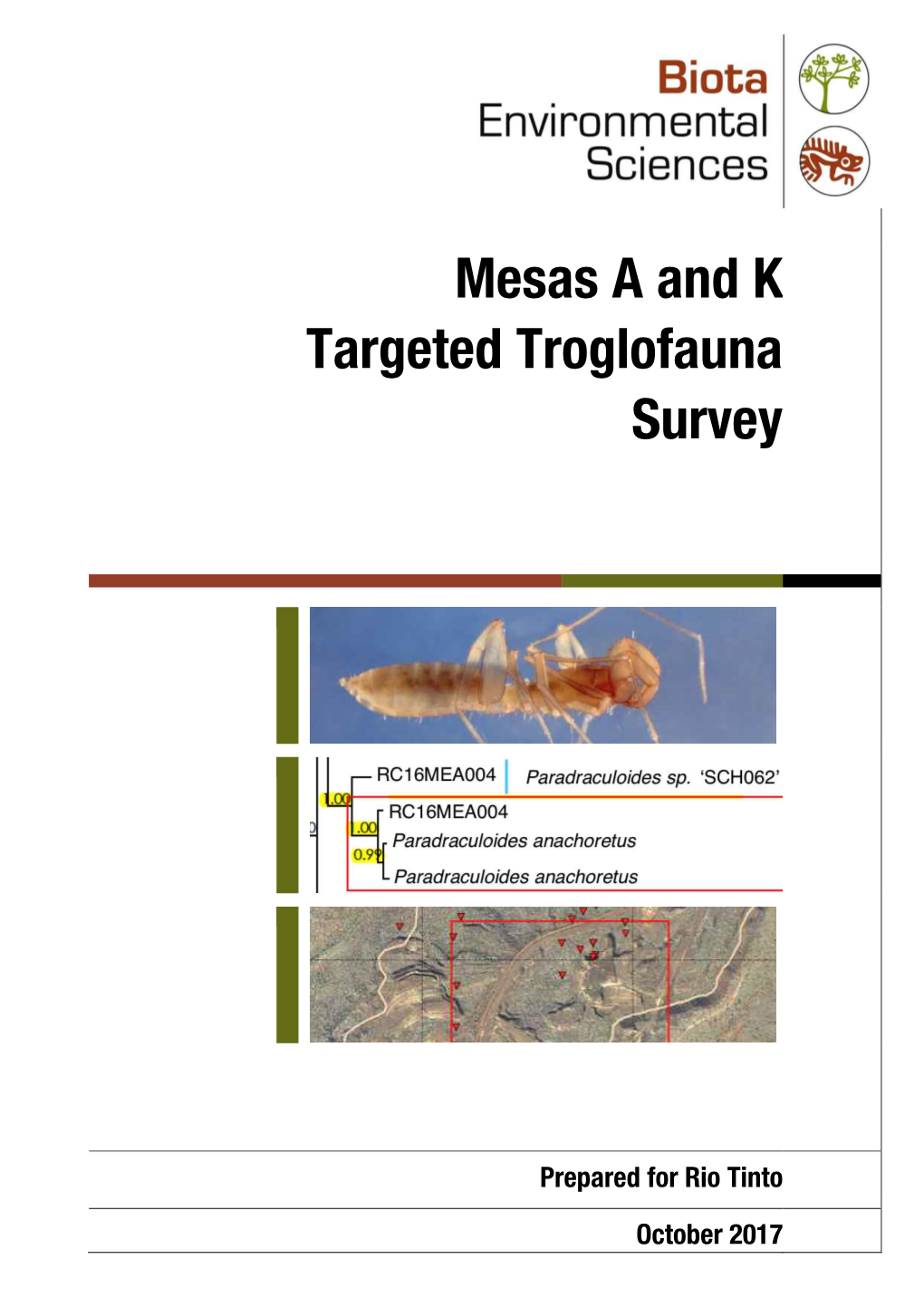 A10 Mesas a and K Targeted Troglofauna Survey (Biota 2017)