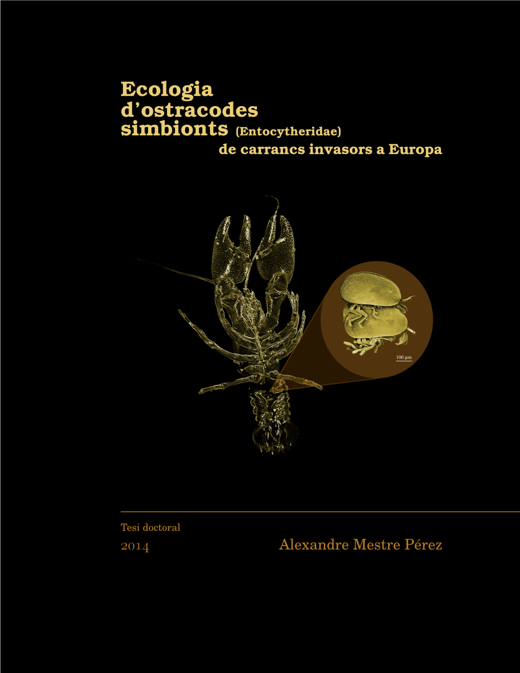 Ecologia D'ostracodes