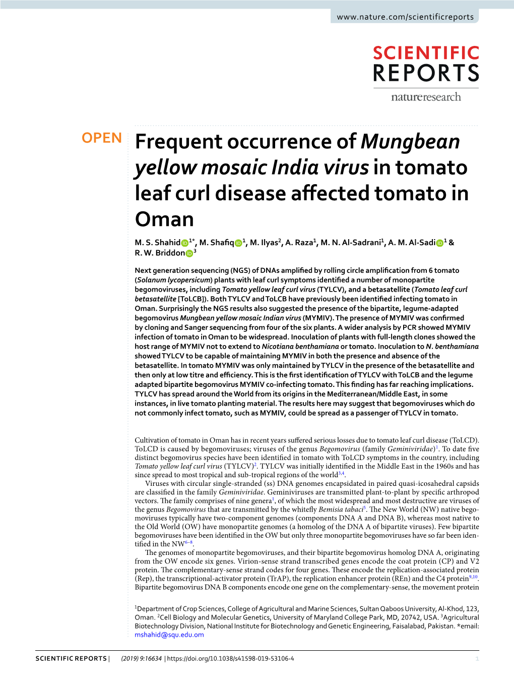 Frequent Occurrence of Mungbean Yellow Mosaic India Virus in Tomato Leaf Curl Disease Afected Tomato in Oman M