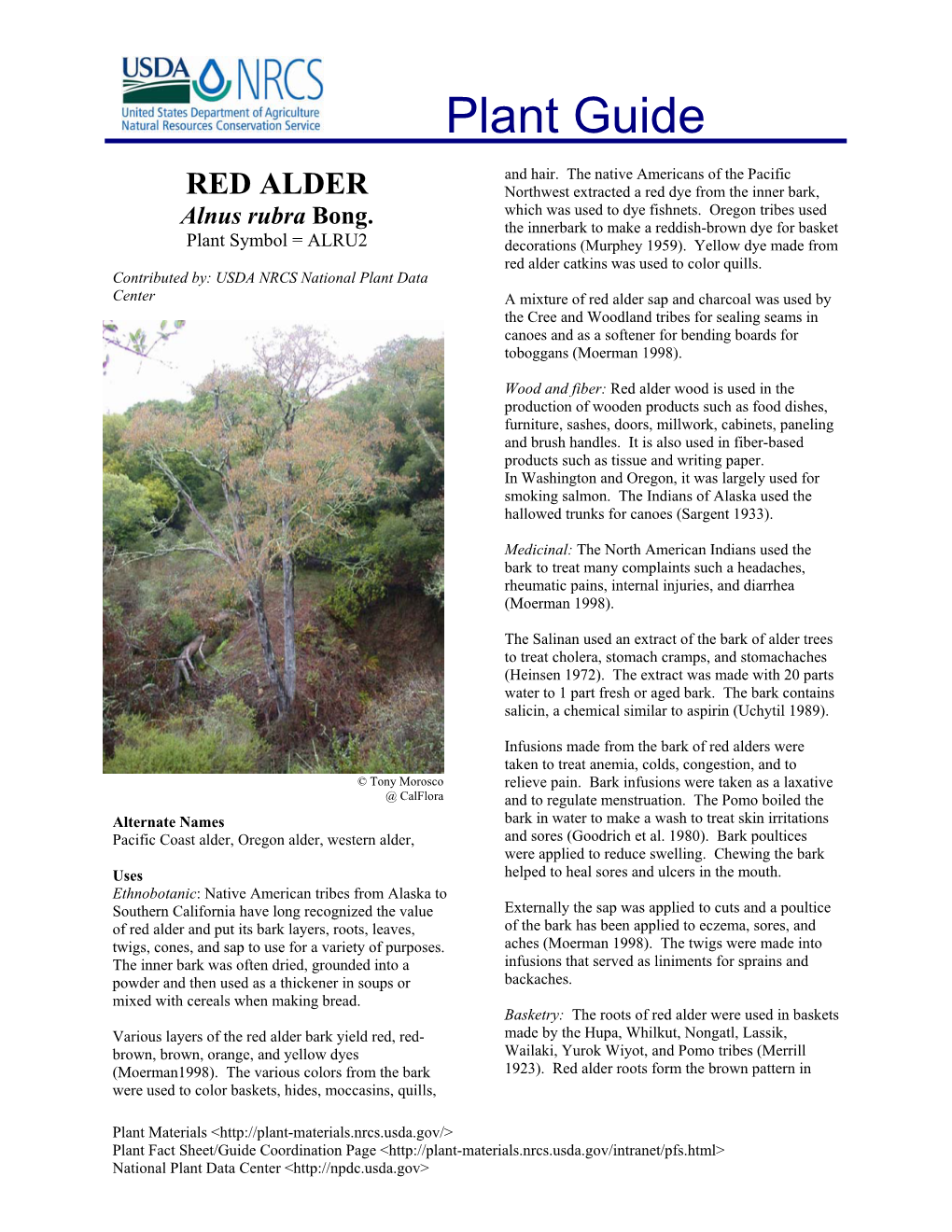 RED ALDER Northwest Extracted a Red Dye from the Inner Bark, Which Was Used to Dye Fishnets