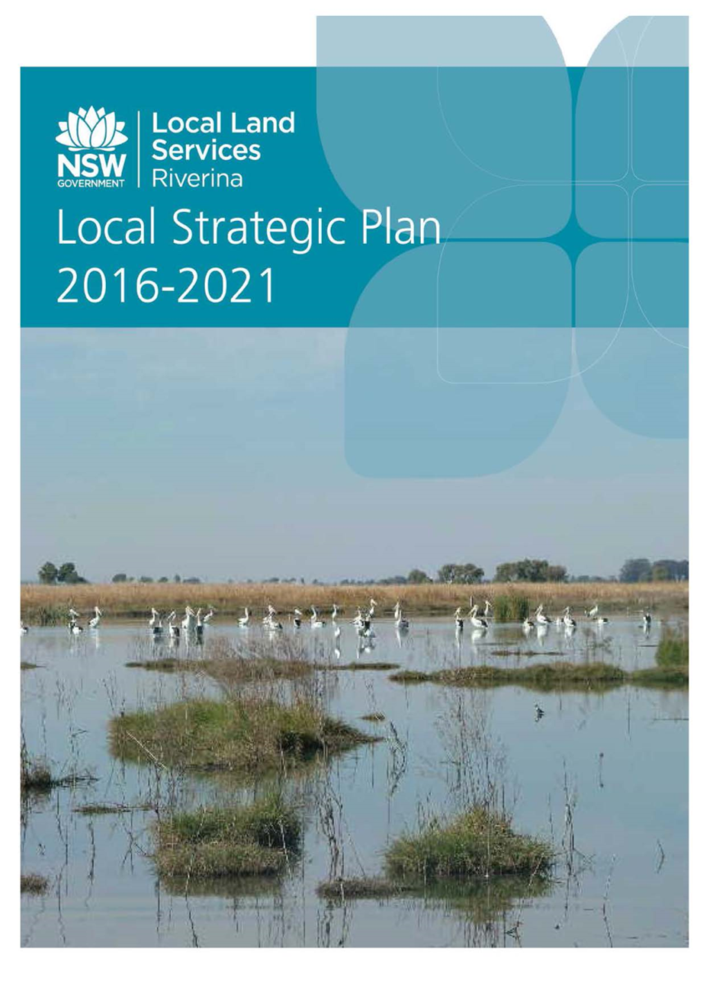 Local Land Services Local Strategic Plan