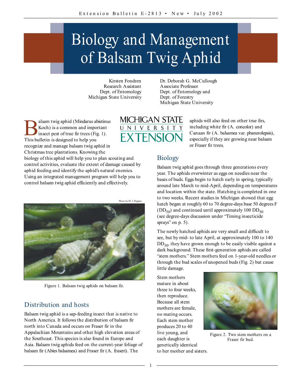 Biology and Management of Balsam Twig Aphid