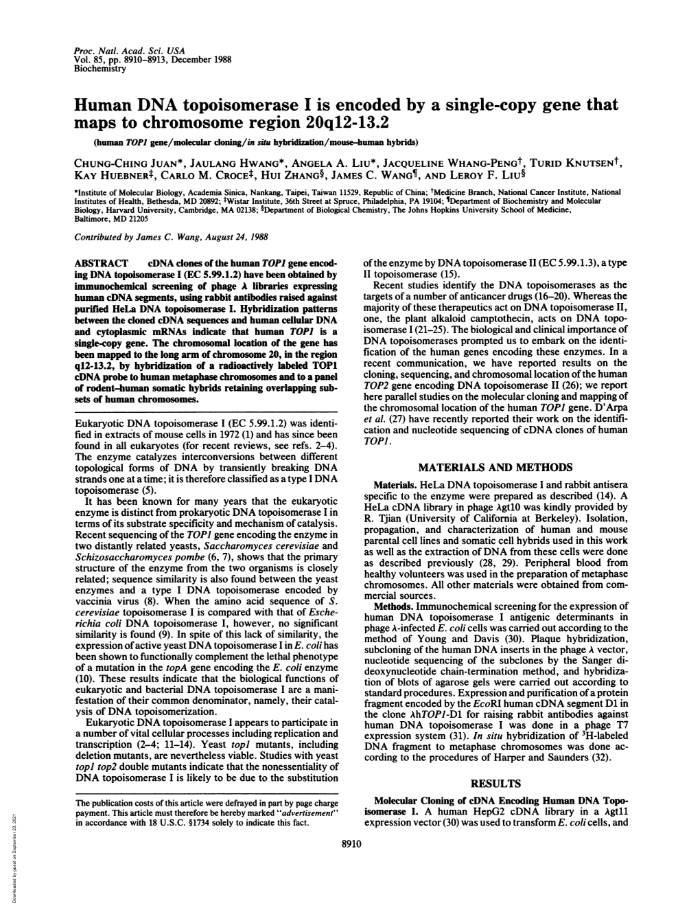 Human DNA Topoisomerase I Is Encoded by a Single-Copy Gene That Maps to Chromosome Region 20Q12-13.2