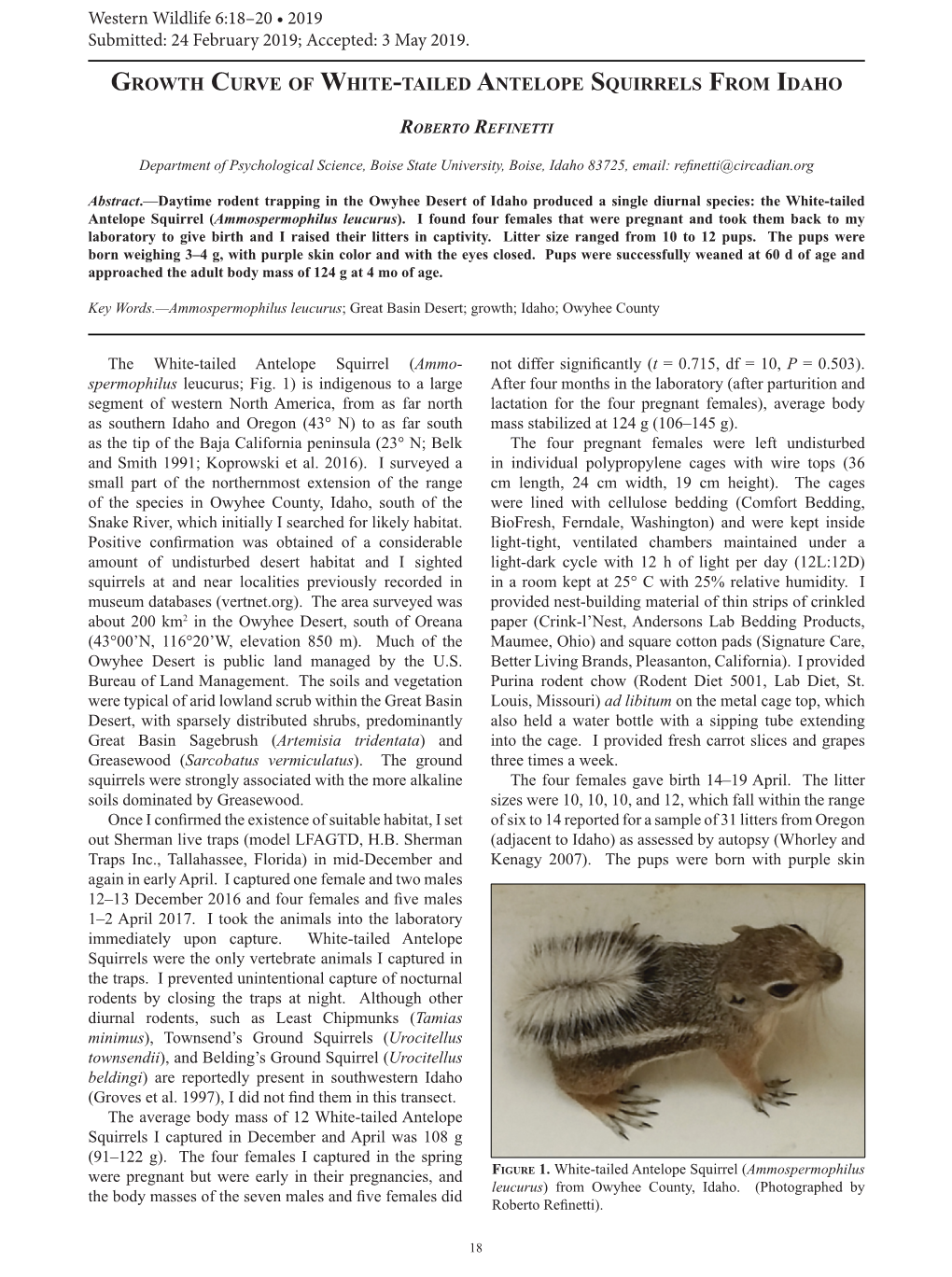 Growth Curve of White-Tailed Antelope Squirrels from Idaho