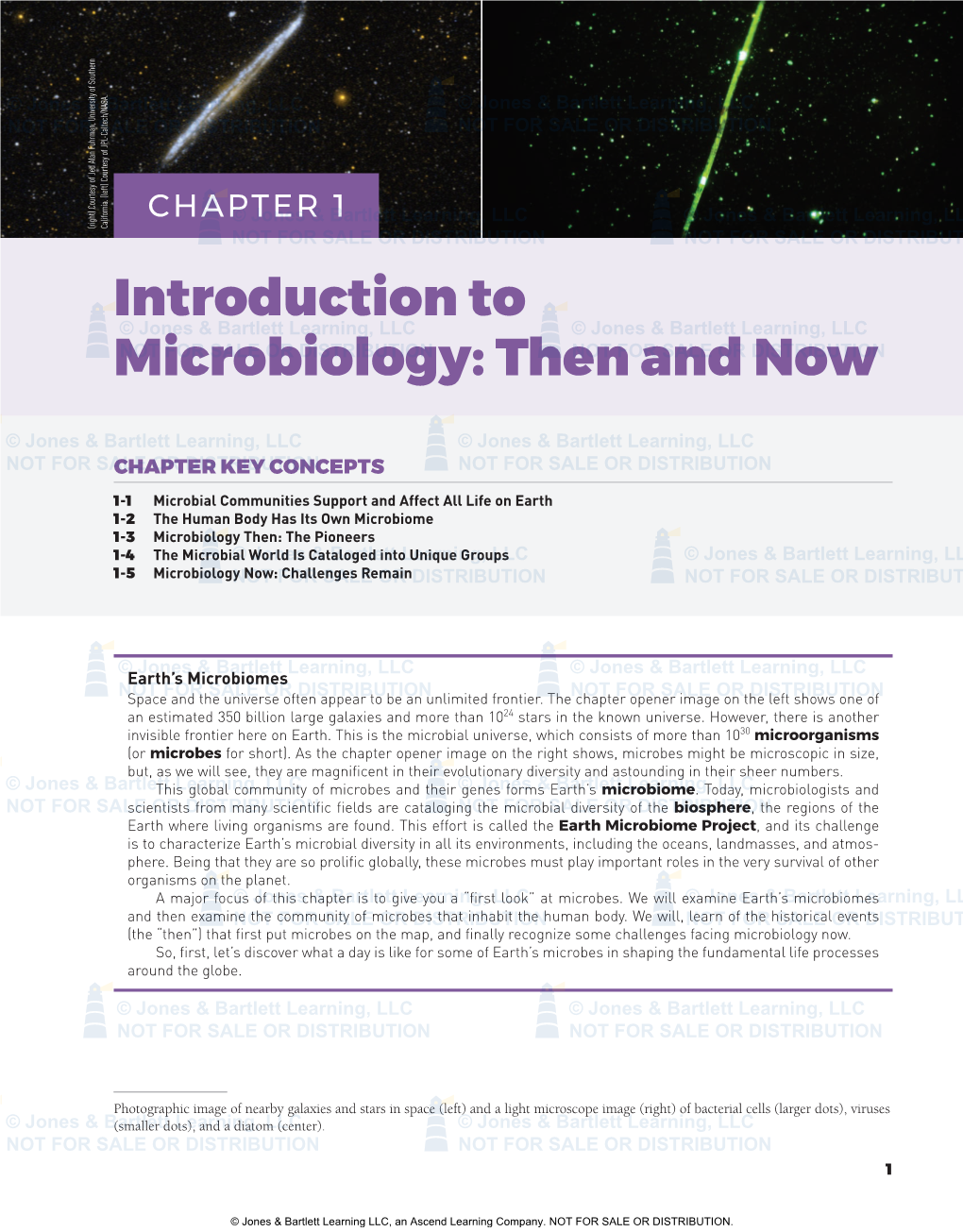 Introduction to Microbiology: Then and Now