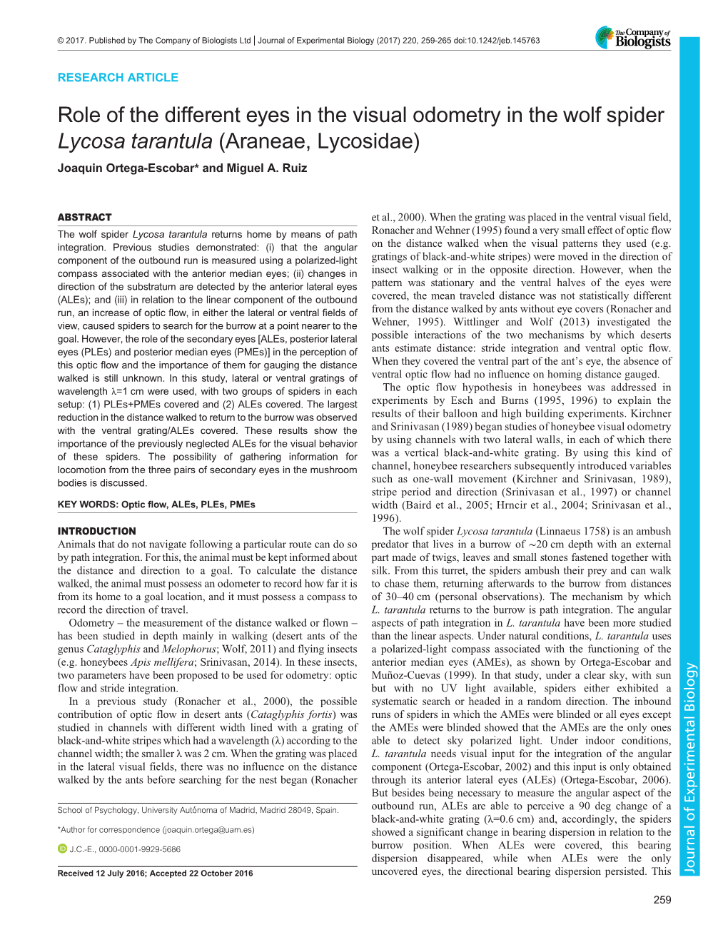 Role of the Different Eyes in the Visual Odometry in the Wolf Spider Lycosa Tarantula (Araneae, Lycosidae) Joaquin Ortega-Escobar* and Miguel A