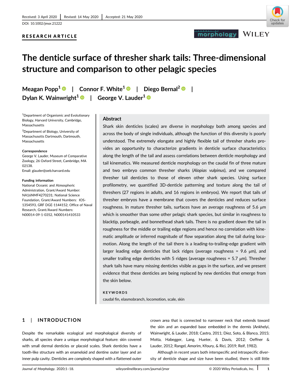 The Denticle Surface of Thresher Shark Tails: Three-Dimensional Structure and Comparison to Other Pelagic Species