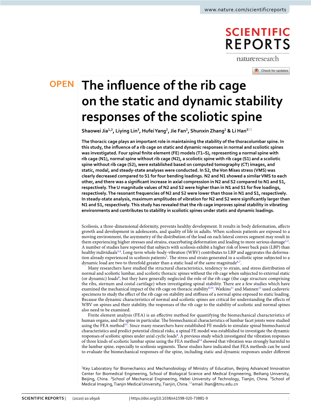 The Influence of the Rib Cage on the Static and Dynamic Stability